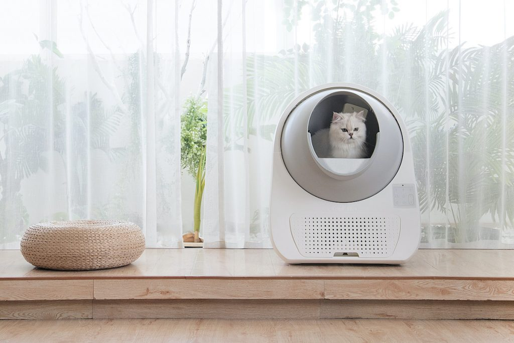 企业微信截图_17182593064180